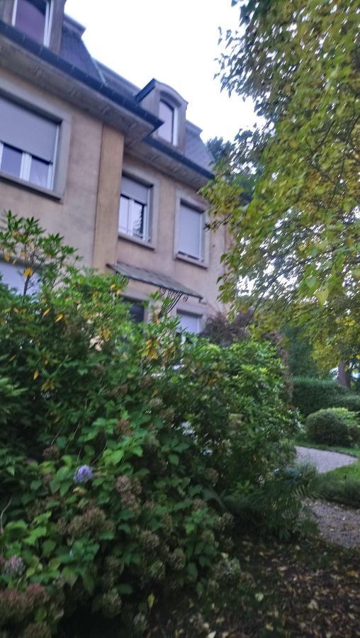 La Romantique Sainte-Marie-aux-Mines Eksteriør billede